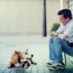 Can Street Dogs Be Trained Can street dogs be trained to be well-behaved and obedient pets Yes, with patience and positive reinforcement