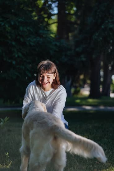 How Much Does It Take to Train a Guide Dog 1 Estimated time and costs involved to raise and train a guide dog