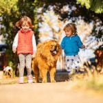 How to Train Dog to Poop Specific Grass How to train dog to poop on specific grass patch