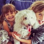 pet-friendly guide for passengers with canine companions