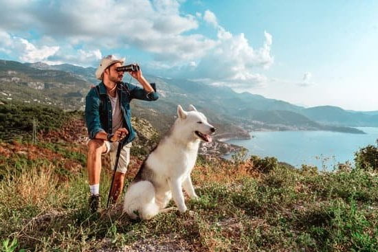 How to Train a Very Nervous Dog 3 How to train a very nervous dog effectively and calmly