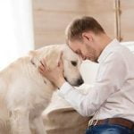 Unlock the potential of your furry friend with these tips on how to train a dog cool tricks