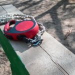 How to Choose a Dog Trainer How to Choose a Dog Trainer