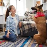 Can You Train a Dog to Like Other Dogs Train your dog to socialize with other dogs through positive reinforcement and gradual exposure