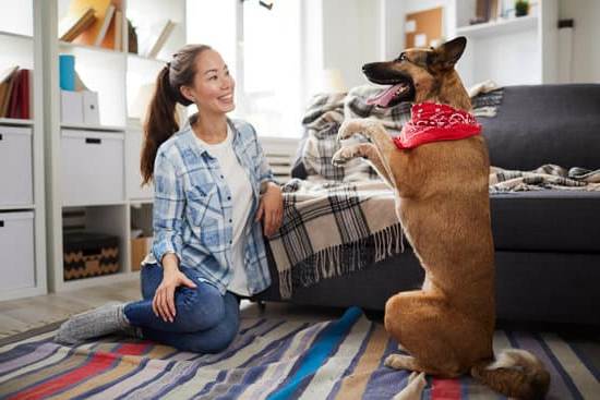 Can You Train a Dog to Like Other Dogs 1 Train your dog to socialize with other dogs through positive reinforcement and gradual exposure