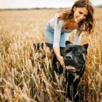 Techniques on how to train dog to overcome fearfulness and build confidence