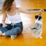 VA coverage for service dog training expenses questioned; explore grant programs for financial assistance