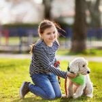 How to Train a Dog Not to Poop Everywhere How to teach your dog proper potty training techniques to avoid accidents indoors