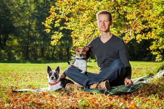 Step-by-step guide on how to potty train dog using bells on the door