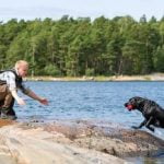 Step-by-step guide on how to train your dog to howl successfully