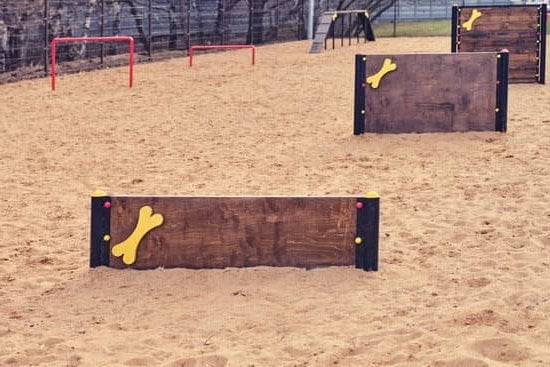 How to Train Dog Not to Bark for Food 1 Effective techniques on how to train dog not to bark for food