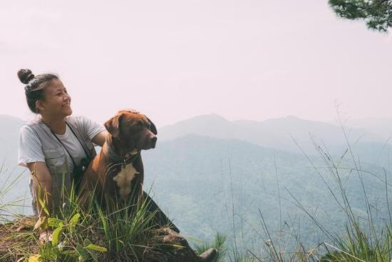 Do Virgin Trains Allow Dogs 1 Virgin Trains pet policy may allow dogs. Check regulations before traveling with your furry companion