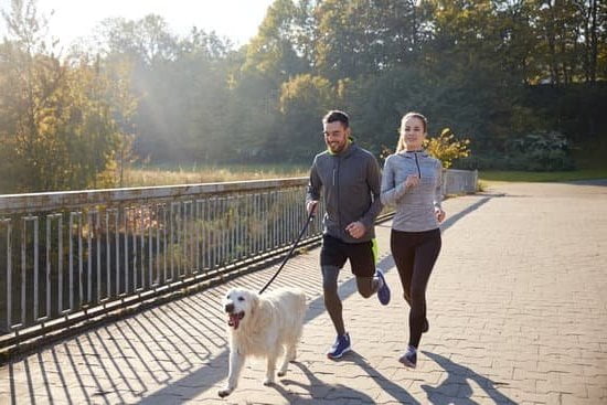 Legally training a dog to attack is illegal in the UK. Seek professional advice on dog behavior