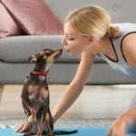 Dog trainer education requirements include certifications, courses, and hands-on experience with canines