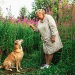 Learn how to train your own guide dog successfully with expert advice