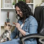 How to Train Your Dog Not to Bark Outside Effective tips on how to train your dog not to bark outside