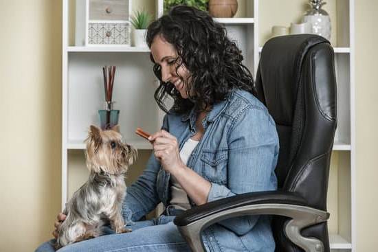 Effective tips on how to train your dog not to bark outside