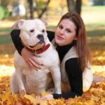 How to Train Older Dog on Leash Step-by-step guide on how to train older dog on leash effectively