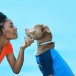How to Train a Dog Into a Guard Dog step-by-step guide for effective training