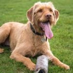 tips on how to calm their behavior during meal times