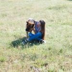 Can You Train a Pet Dog for Hearing Loss Consider hand signals for commands like sit, stay, and come