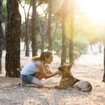 How to Train a Red Heeler Dog Step-by-step guide on how to train a Red Heeler dog for obedience and agility