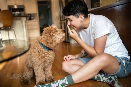 How to Train a Dog Not to Go Up Stairs 1 Use positive reinforcement, start with lower steps