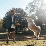 How to Train Your Dog to Speak Videos Expert tips and techniques in 'How to Train Your Dog to Speak' videos for effective learning