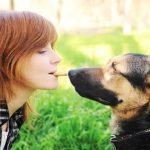 How Much Do K9 Trained Dogs Cost Cost of K9 trained dogs varies greatly, depends on training level and breed. Contact breeders for accurate prices