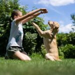 What Is Good Reinforcement Word for Dog Training Adequate reinforcement is crucial for efficient dog training. Consistency is key to successful training sessions