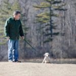 How to Easily Train Your Dog - Step-by-step guide on how to easily train your dog at home