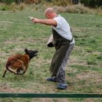 Transform a scared dog into a protection dog through proper training techniques