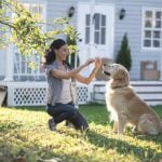 Dog house training apparatus for efficient potty training of dogs