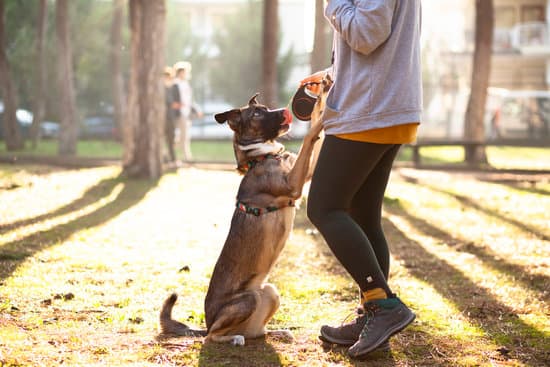 Step-by-Step Guide with Tips