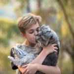 How to Train a Cow Dog to Herd Cows Step-by-Step Guide for Success