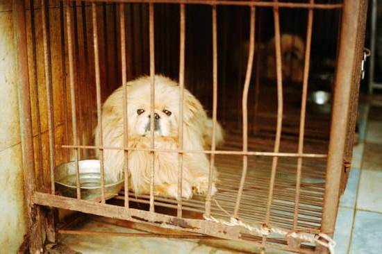 Step-by-step guide with clear pictures for effective training